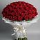 Букет 101 Красная роза Блэк Мэджик в Небуге