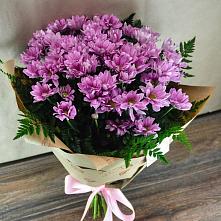Букет цветов из:  Хризантемы #REPLACE_PRED# Небуге