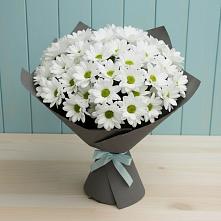 Букет цветов из:  Хризантемы #REPLACE_PRED# Небуге