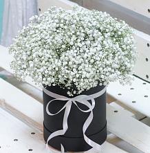 Цветочная композиция из Гипсофила в шляпной коробке #REPLACE_PRED# Небуге
