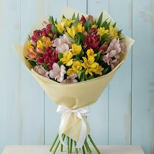 Букет цветов из:  Альстромерии в Небуге