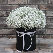 Цветочная композиция из Гипсофила в шляпной коробке в Небуге