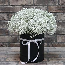 Цветочная композиция из Гипсофила в шляпной коробке в Небуге